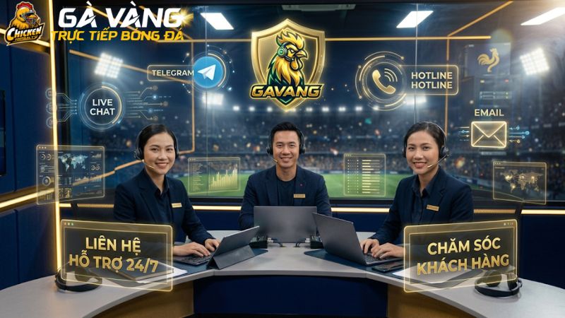 Liên Hệ Gavang - Tổng Đài CSKH Gà Vàng TV Hỗ Trợ 24/7 Nhanh